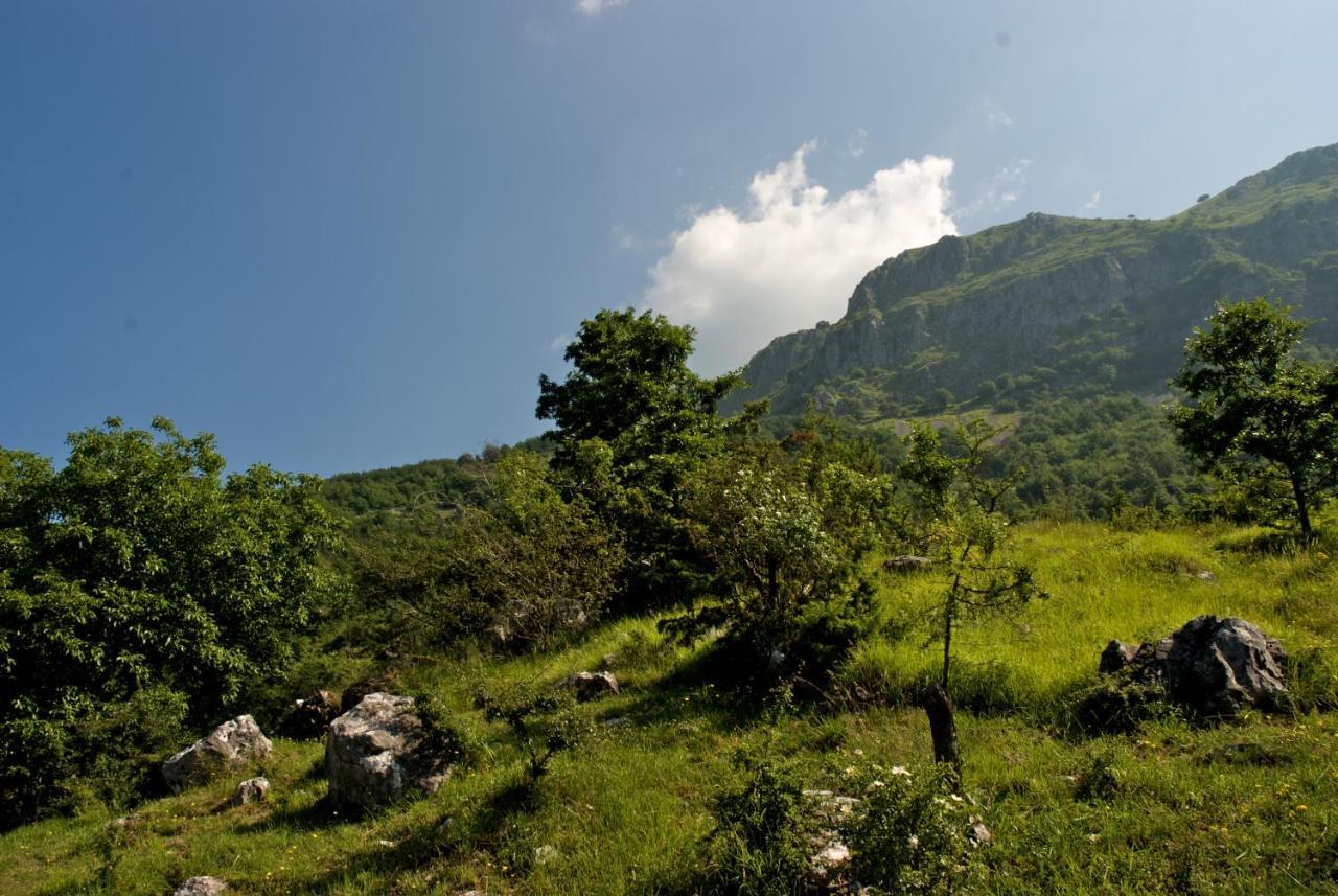 Alpeggio Pruno Villa Corfino Dış mekan fotoğraf