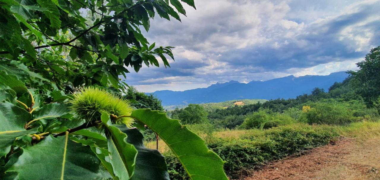 Alpeggio Pruno Villa Corfino Dış mekan fotoğraf
