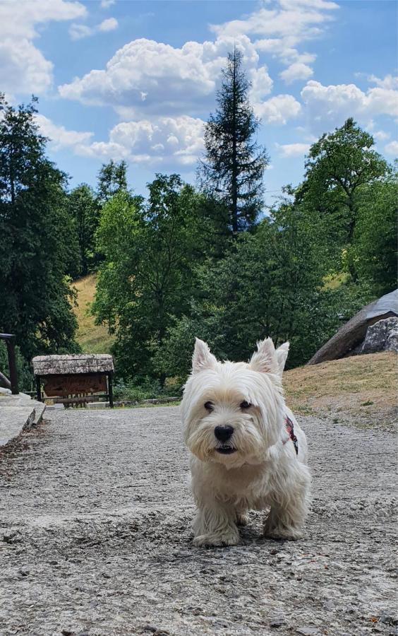 Alpeggio Pruno Villa Corfino Dış mekan fotoğraf